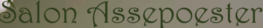 Salon Assepoester 