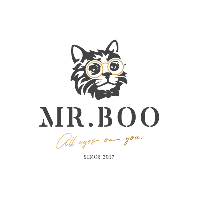 Mr. Boo