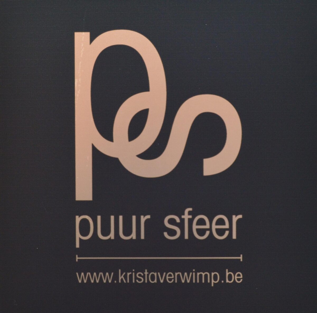 puur sfeer logo