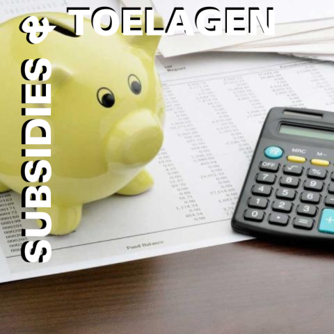 subsidies en toelagen cultuur