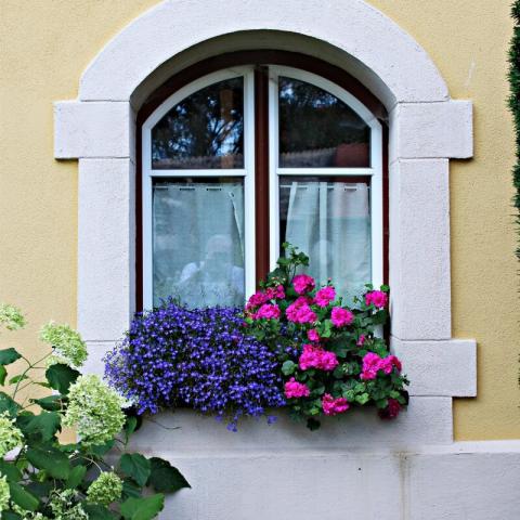 geveltuin
