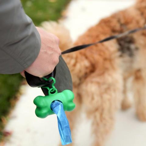 honden