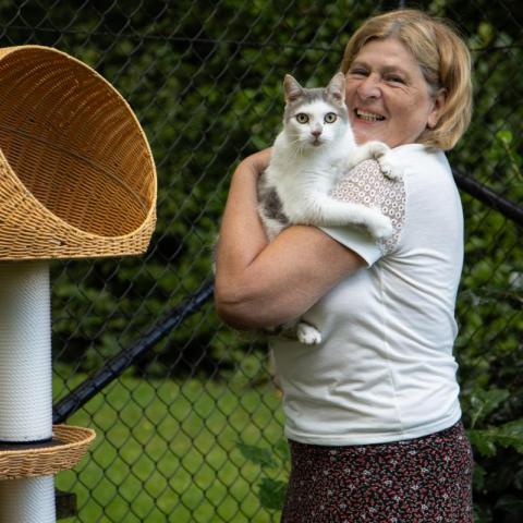 Catdet