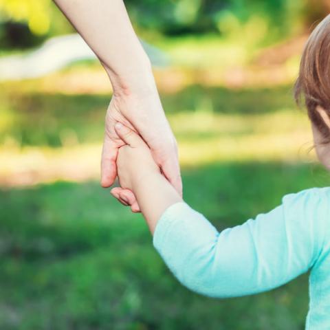 opvang, opvoeding en onderwijs