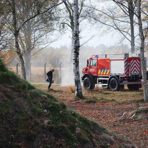 brand