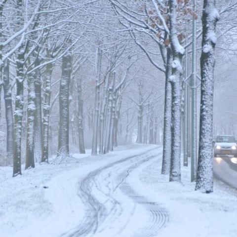 sneeuw