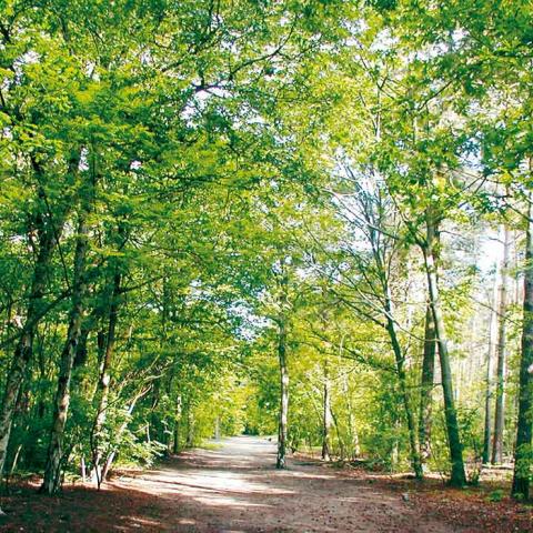 toerisme Brasschaat