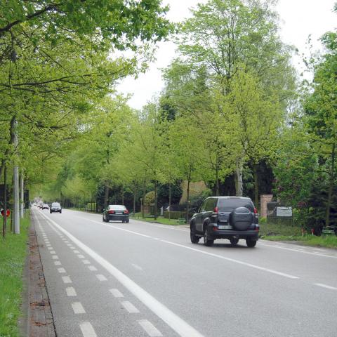 projecten
