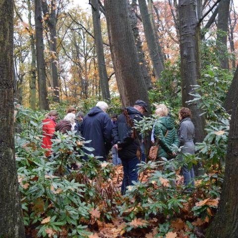 MINDFUL WANDELEN maandag 13u15-14u15 voorjaar25 © sport plus vzw