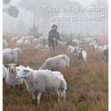 Beleef2930 editie december 2023