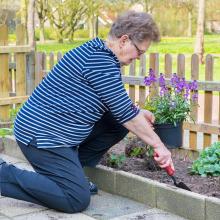 planten