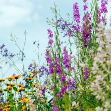 natuur en milieu