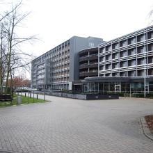LDC Vesalius