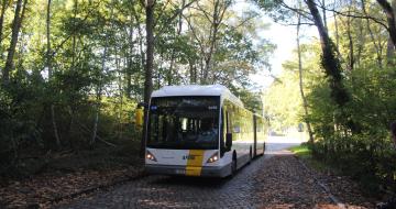 De Lijn