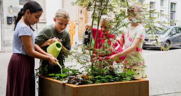 kinderen geven plant in de straat water