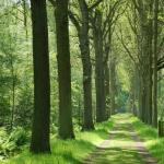 lopende openbare onderzoeken