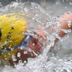 sportclubs